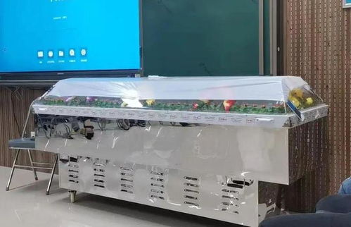 跨界融合 從殯葬專業(yè)到計(jì)算機(jī)批發(fā)，膽識(shí)鋪就多元職業(yè)路